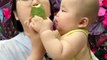 Baby Want To Eat Co cumber | Hungary Babies |Baby Funny Moments | Cute Babies | Naughty Babies #baby