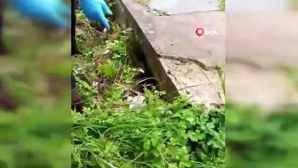 Büyükler kirletti, çocuklar temizledi