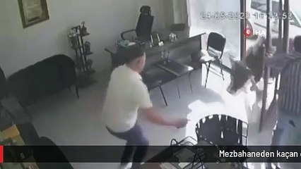 Mezbahaneden kaçan dana emlakçıda yakalandı