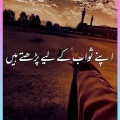 مطلب کی دنیا | ثواب کی نیت سے | دلچسپ بات