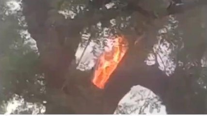 धौलपुर:नीम के पेड़ पर गिरी आकाशीय बिजली,और फिर...