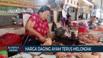 Pasokan Berkurang, Harga Daging Ayam Tembus 38 Ribu Rupiah Perkilogram