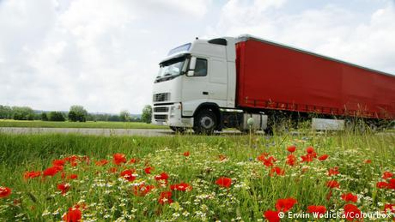 Wie wirken sich Geräusche und Lärm auf Pflanzen aus?