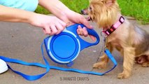EMERGENCY HACKS for PET OWNERS __ USEFUL HACKS AND GADGETS for SMART PET LOVERS
