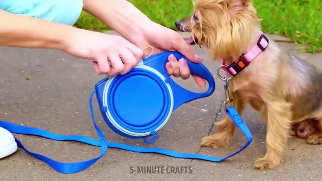 EMERGENCY HACKS for PET OWNERS __ USEFUL HACKS AND GADGETS for SMART PET LOVERS