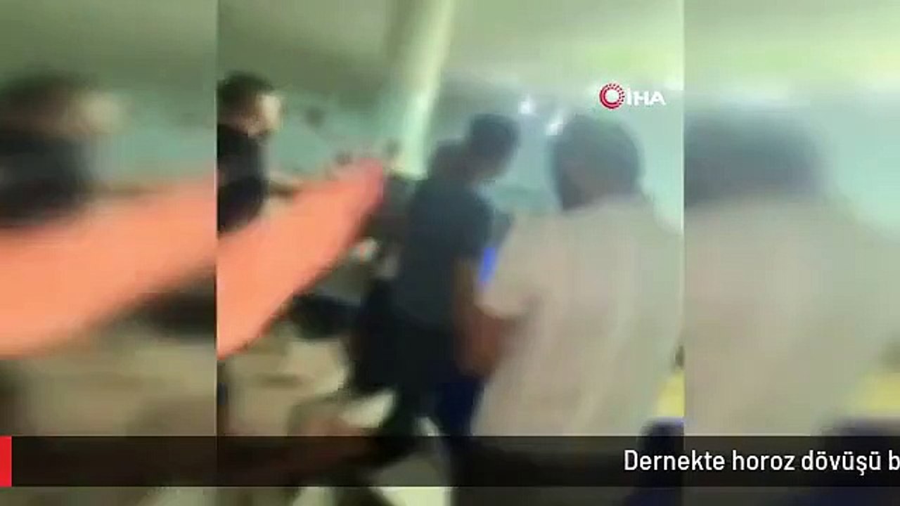 Dernekte horoz dövüşü baskını: 117 bin lira para cezası kesildi