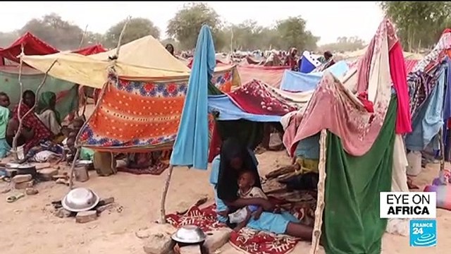 'In dire need': Chad struggles to cope with flood of Sudan refugees