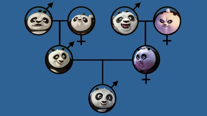 Les espèces, les liens de parentés et la classification - SVT collège