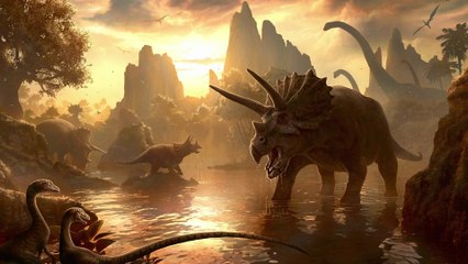 L'évolution de la vie sur Terre - SVT collège