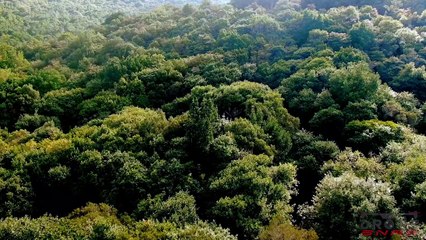 Madeira, Portugal  - by drone [4K]