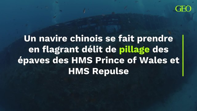Flagrant délit : un navire chinois en plein pillage des épaves des HMS Prince of Wales et HMS Repulse