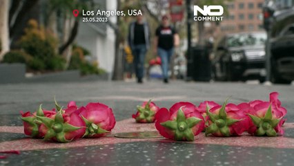 No Comment : des fleurs en hommage à Tina Turner sur le Hollywood Walk of Fame