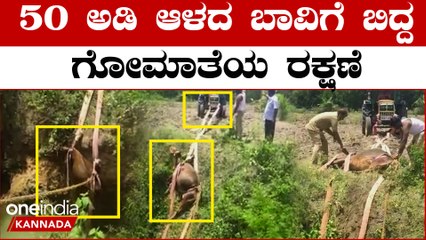 Cow rescued from 50 feet: ಮೇಯಲು ಬಂದು 50 ಅಡಿ ಆಳದ ಬಾವಿಗೆ ಬಿದ್ದ ಹಸುವನ್ನ ರಕ್ಷಣೆ ಮಾಡಿದ ವಿಡಿಯೋ ವೈರಲ್