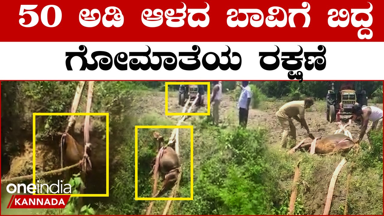 Cow rescued from 50 feet: ಮೇಯಲು ಬಂದು 50 ಅಡಿ ಆಳದ ಬಾವಿಗೆ ಬಿದ್ದ ಹಸುವನ್ನ ರಕ್ಷಣೆ ಮಾಡಿದ ವಿಡಿಯೋ ವೈರಲ್