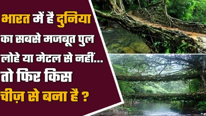 World का सबसे मजबूत पुल India के इस राज्य में है मौजूद , ये है खासियत | वनइंडिया हिंदी