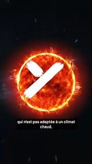 Les roux vont disparaître à cause du réchauffement climatique ?