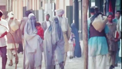 A Cooler Climate - Trailer