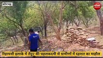 Sonbhadra video: तेंदुए की चहलकदमी से ग्रामीणों में दहशत, वन विभाग की कॉम्बिंग जारी, देखे वीडियो