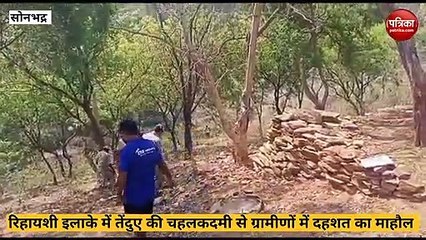 Sonbhadra video: तेंदुए की चहलकदमी से ग्रामीणों में दहशत, वन विभाग की कॉम्बिंग जारी, देखे वीडियो