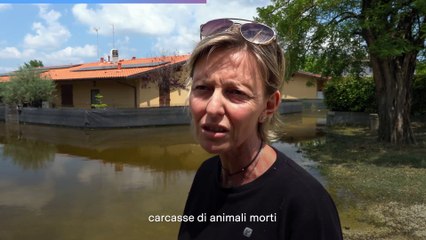 Selva Malvezzi, vita da allagati fra acqua e odore nauseabondo