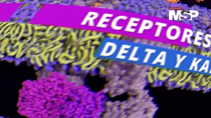 ¿Cómo funciona el #Tramadol? - #ExclusivoMSP