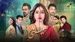 Meesni - Episode 95 ( Bilal Qureshi, Mamia, Faiza Gilani ) 25th May 2023 - HUM TV