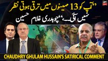 Ch Ghulam Hussain's satirical comment on PDM government's performance