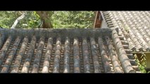 절벽 위의 트럼펫 (2015) 영화 일본 다시보기