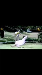 ----------------(MP4