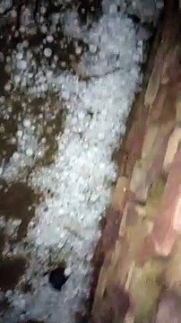 WATCH VIDEO: पोकरण के नहरी क्षेत्र में बारिश के साथ ओलावृष्टि