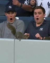 camera man a raise. Funniest slo-mo’s