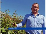 loire eco : Les bons tuyaux pour se développer en franchise - Loire Eco - TL7, Télévision loire 7