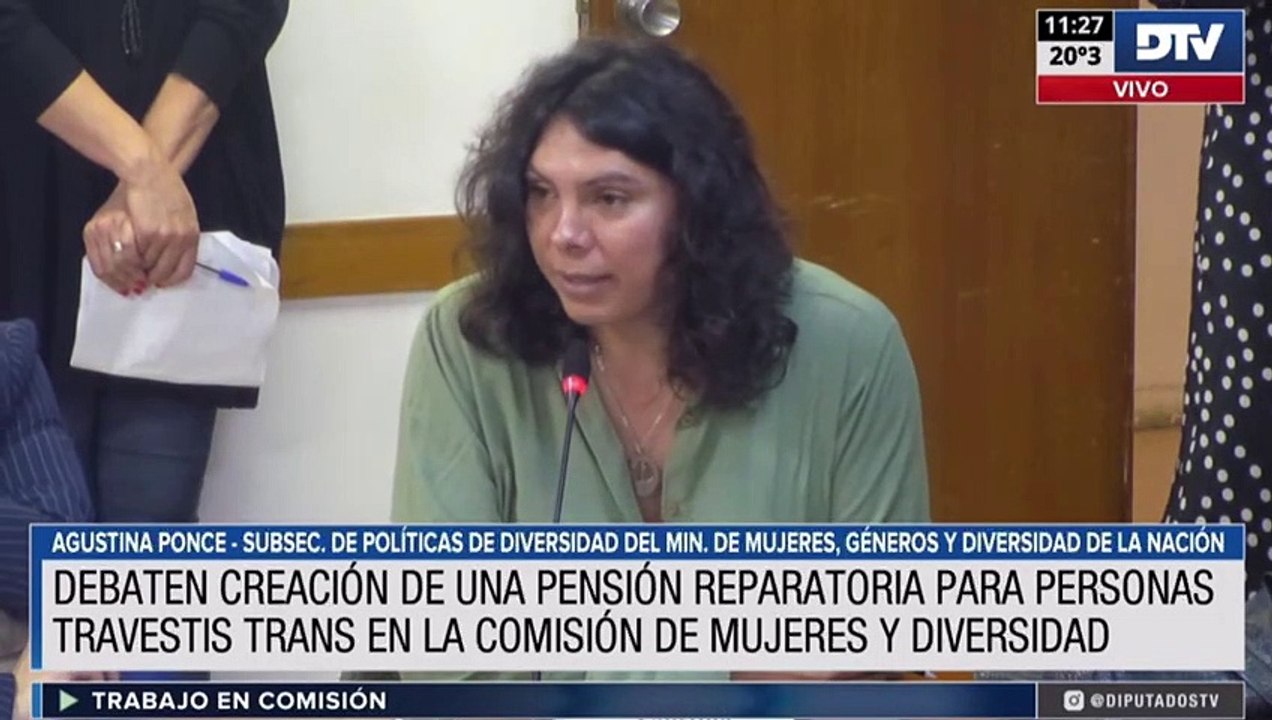 Diputados analizó la creación de una pensión reparatoria para personas travestis-trans