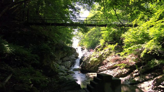 Tranquil Harmony: 1 Hour of Relaxing Nature Sounds - Mountain River and Forest River