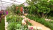 Tunbridge Wells autism charity garden wins silver at Chelsea Flower Show