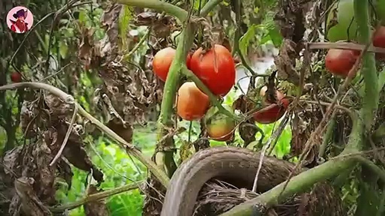 15 Tapfere Mütter, Die Wütend Tiere Angreifen, Um Ihre Babys Zu Beschützen