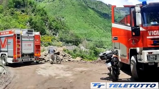 Video News - SCHIACCIATO DA UN ALBERO