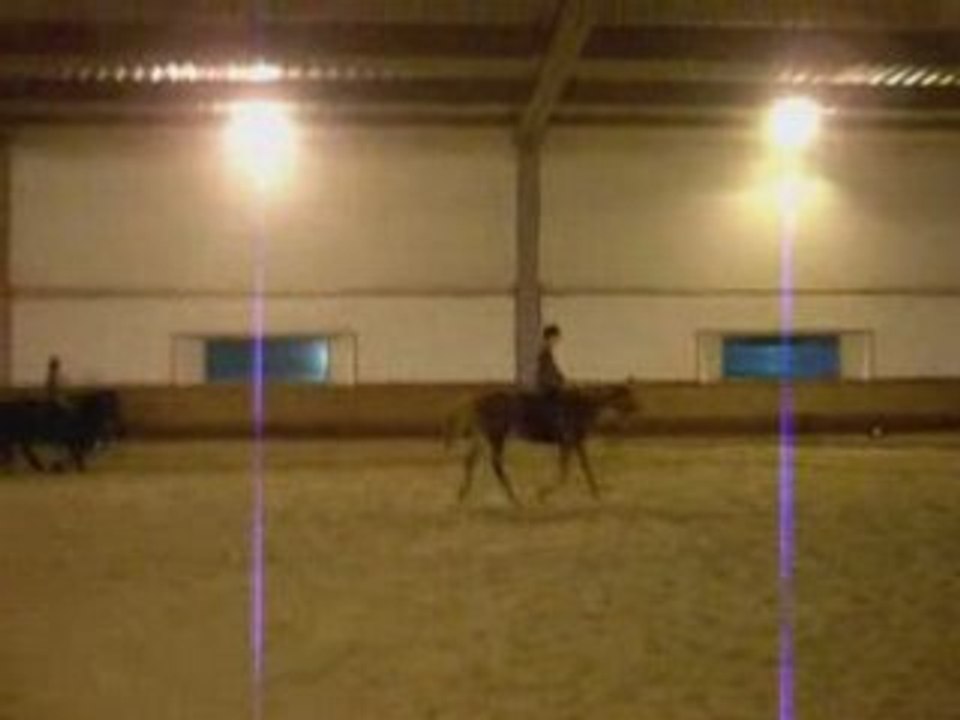 galop guinee et guernica
