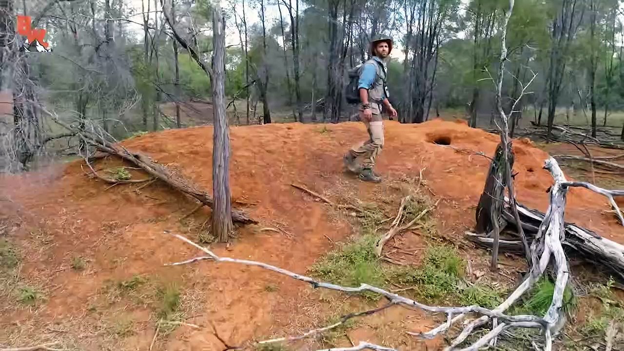 Did I just catch a DINOSAUR!