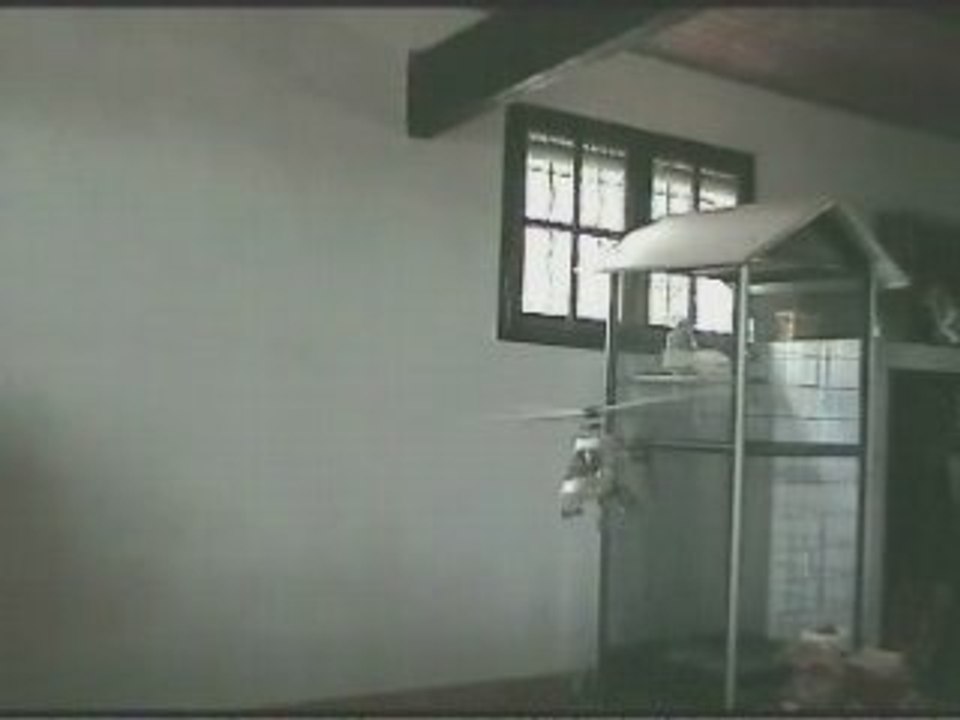 Vol indoor compy 300