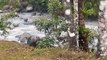 ext-Video: Caída de material en ríos tras erupción de volcán Rincón de la Vieja-250523