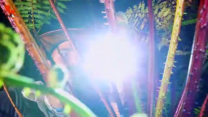 Incredible Invisible Frog!