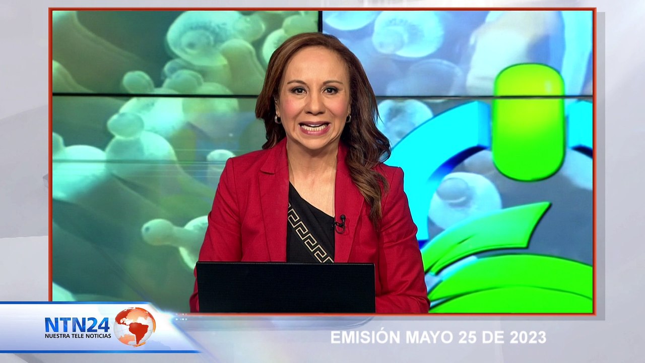 CUÁLES SON LAS ESPECIES QUE MÁS PROTECCIÓN AMERITAN, DEBIDO AL TRÁFICO ILEGAL DE ESPECIES?