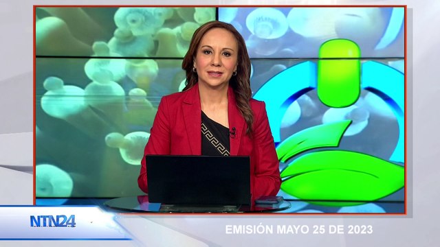 FUERTES OLAS DE CALOR HAN VENIDO SOPORTANDO ALGUNAS PERSONAS EN VARIOS LUGARES DE AMÉRICA LATINA DURANTE LAS ÚLTIMAS SEMANAS