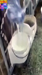 مقاطع فيديو منوعة اكتشف أجمل اللحظات الكوميدية