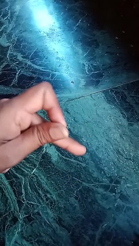 Mc Stan finger style