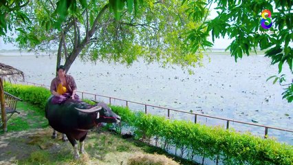 Phleng Rak Roi Khaen | show | 2023 | Official Trailer