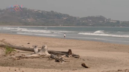 mqn-El Parque Nacional que lucha por que las tortugas vuelvan por miles, como sucedía en los 80´ s -250523