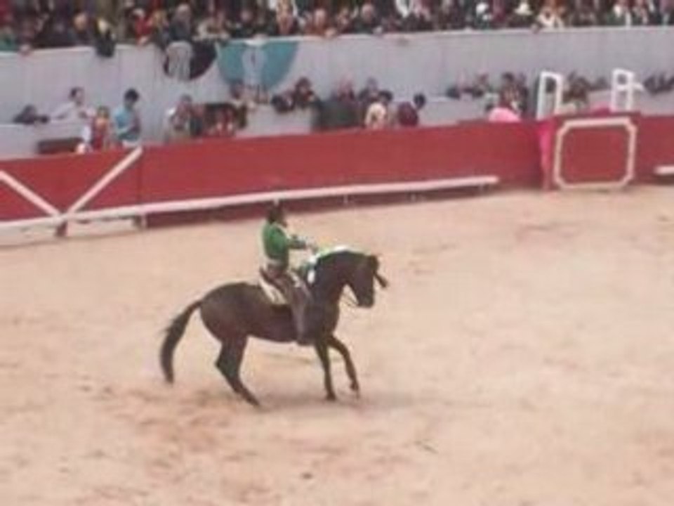 Ventura-arles 2008
