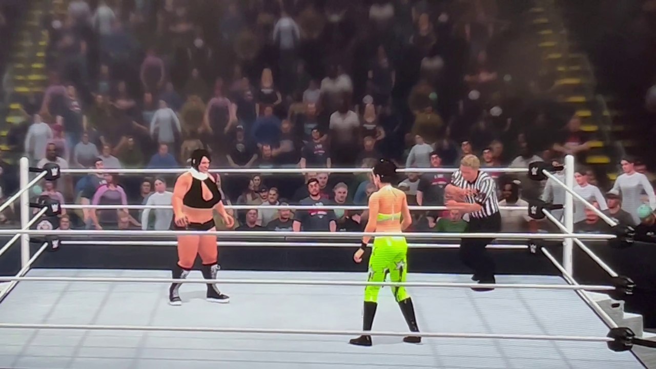 Breta vs Bayley Title Match